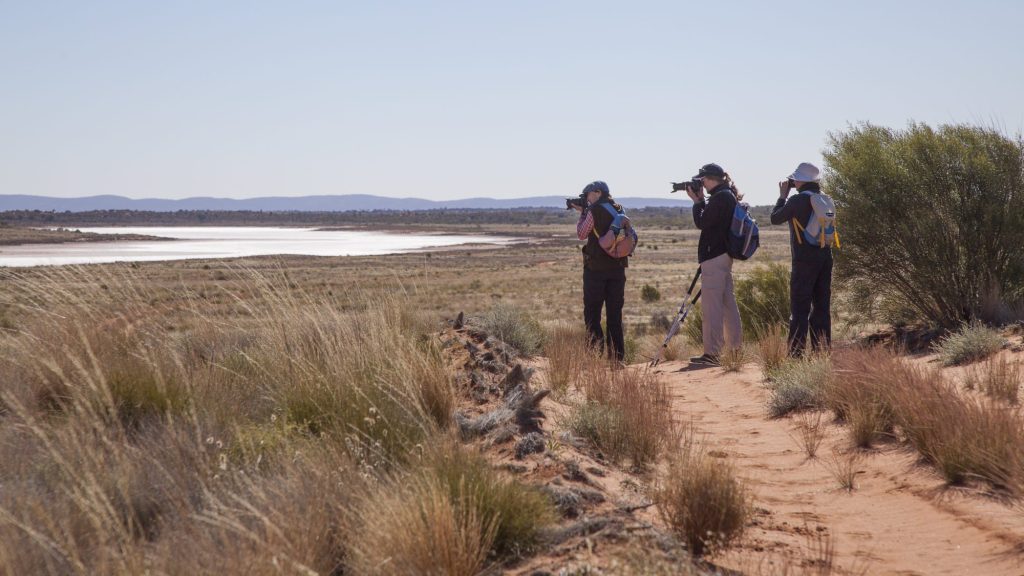 Visitors with cameras looking out over a salt lake from the dunes