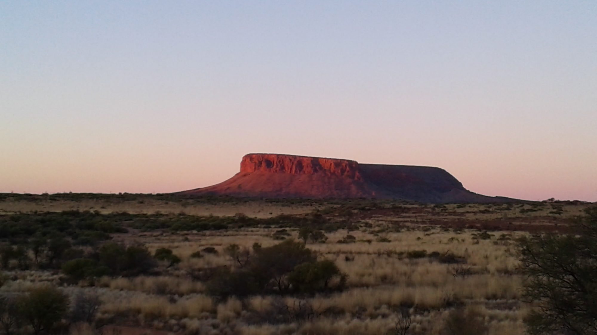 Mount Conner glowing red at dusk above spinifex and desert scrub