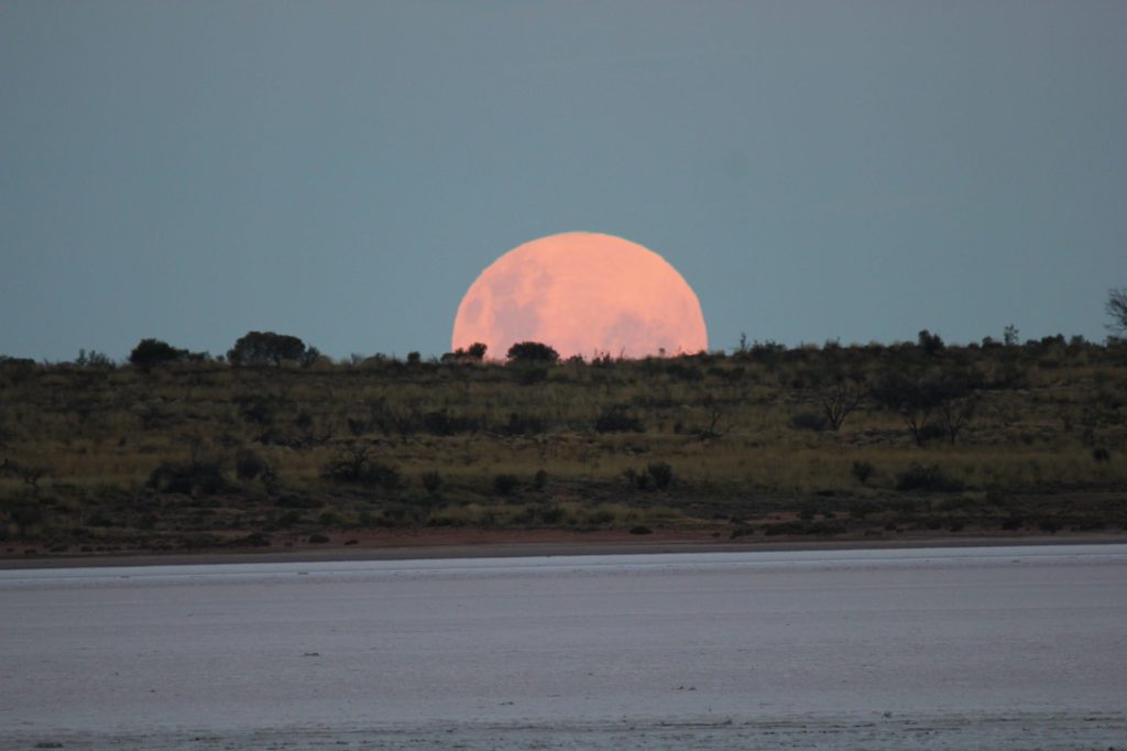 A huge pink full moon rising above dark scrub at the edge of a salt lake