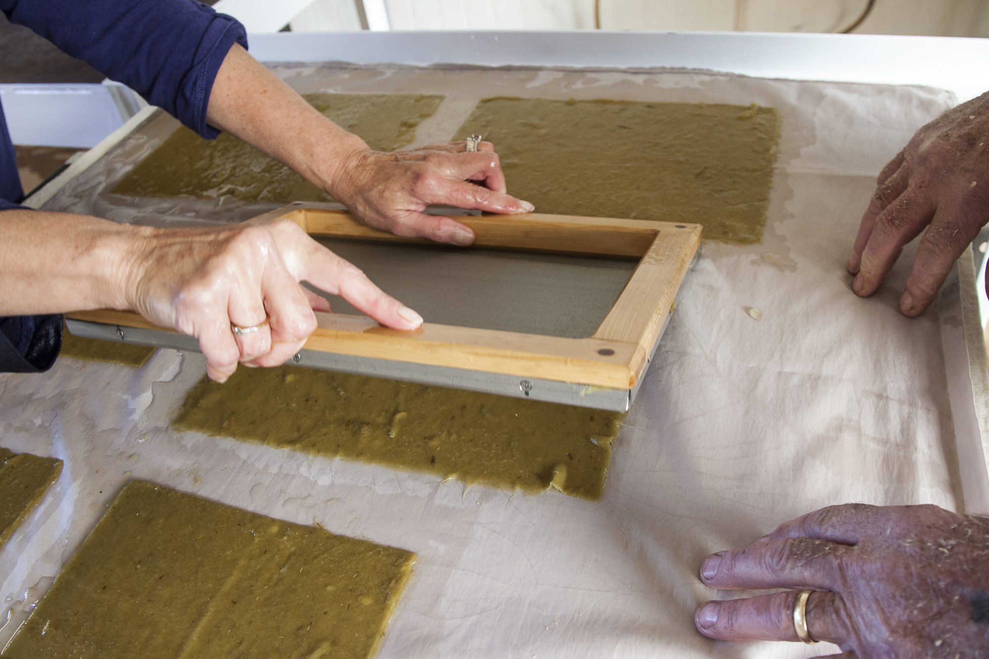 Hands pressing a wooden mould and deckle onto green grass pulp to form a sheet of paper