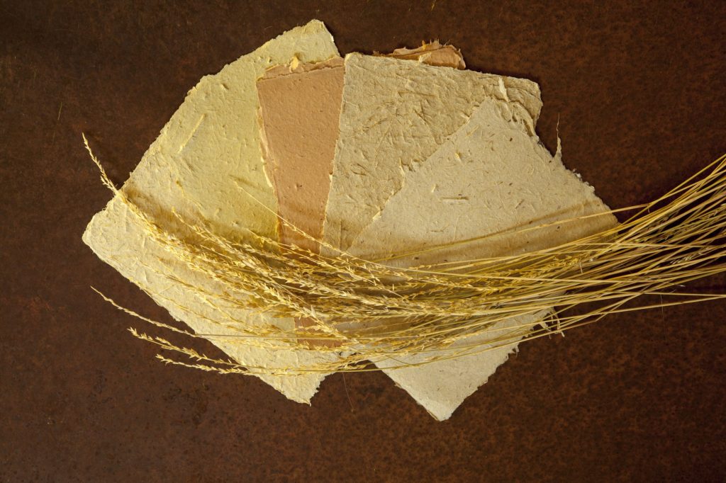 A fan of cream handmade Curtin Springs Paper sheets with a bundle of dried native grass