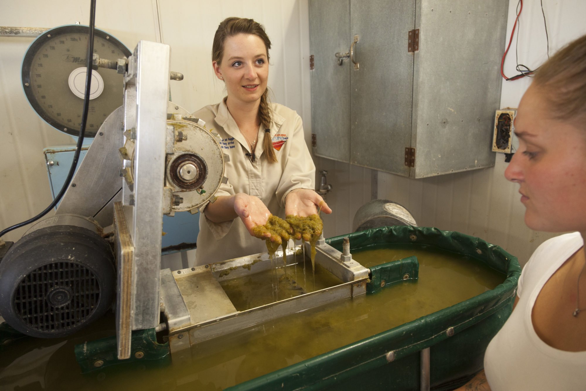 A paper maker lifting grass pulp from a vat inside the Old Abattoir while a visitor watches